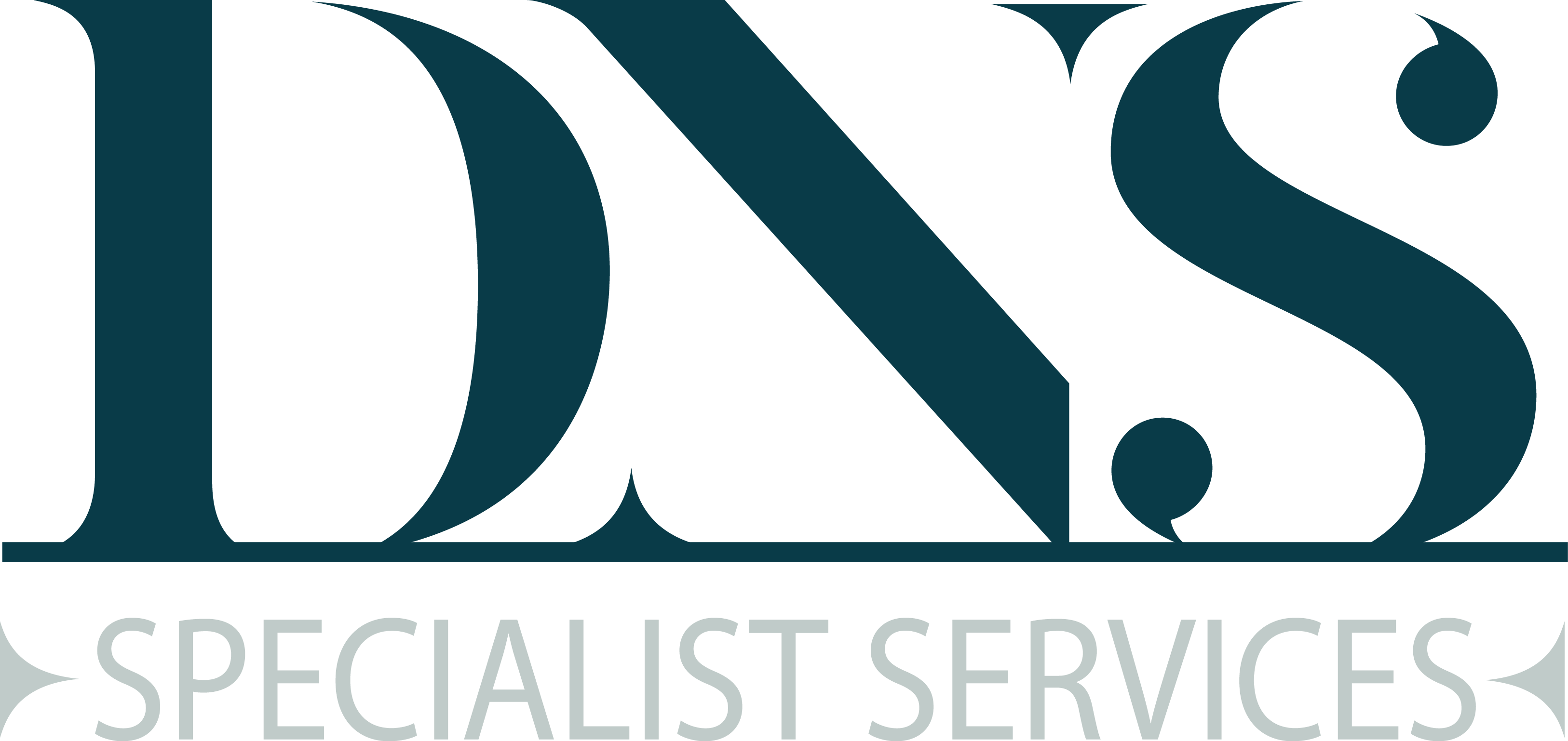 DNS SS Support Portal